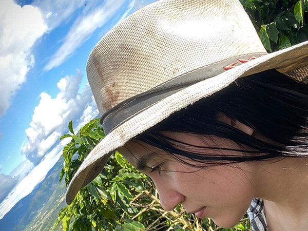 Caffè Specialty Colombia Finca 4 Vientos Doppia Fermentazione Naturale in un paesaggio di Pitalito.