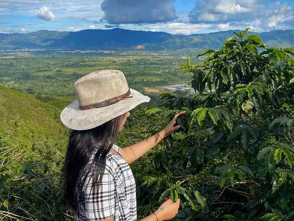 Caffè Specialty Colombia Finca 4 Vientos Doppia Fermentazione Naturale, coltivato nell'Huila da Garage Coffee Bros.