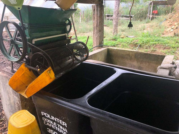 Attrezzatura per la lavorazione del Specialty Coffee Colombia Atunkaa - Decaffeinato nel cortile di una piantagione.