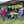 Image of a community gathering discussing coffee cultivation in Colombia, highlighting local farmers and collaboration.