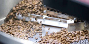 Freshly roasted specialty coffee beans pouring from the roaster at Garage Coffee Bros.