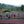 Caffè Specialty Etiopia Bombe Chilaga Naturale, specialty coffee, caffè artigianale at Garage Coffee Bros. farmers processing coffee.