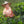 Caffè Specialty Colombia La Esperanza Honey Anaerobico