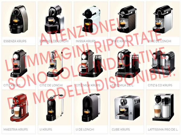 Miscela di caffè capsule La Dolce Vita blend 100% Arabica with notes of maple syrup, cane sugar, and blueberry