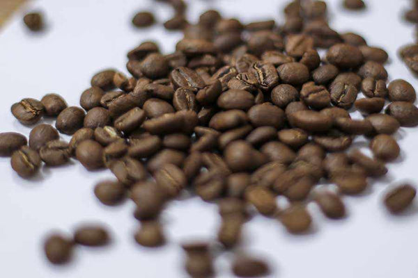 Chicchi di caffè tostato Miscela THE STEAM & CO. - profilo aromatico rotondo ed equilibrato